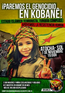 manifestacion kobane (2)