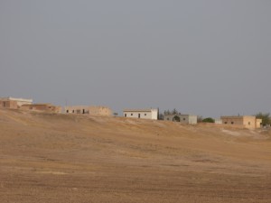 Rojava dispatch (2) 5