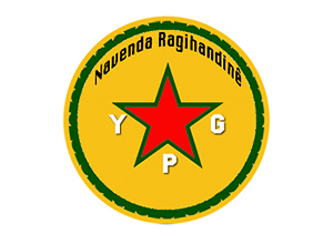 logo NR-YPG-1